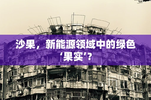 沙果，新能源领域中的绿色‘果实’？