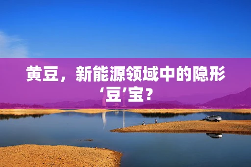 黄豆，新能源领域中的隐形‘豆’宝？