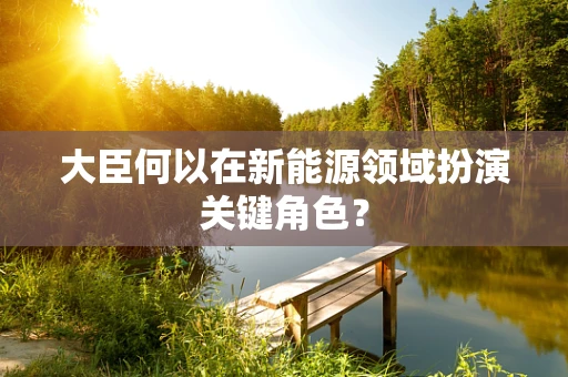 大臣何以在新能源领域扮演关键角色？