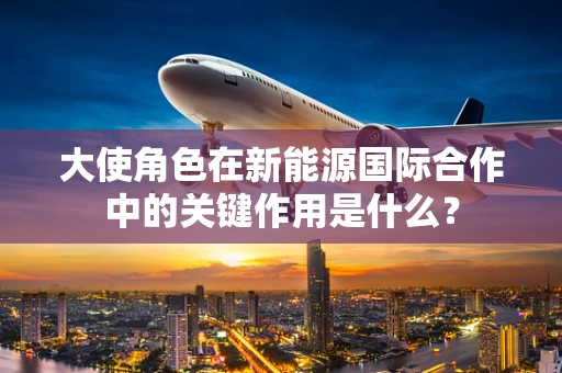 大使角色在新能源国际合作中的关键作用是什么？