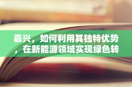嘉兴，如何利用其独特优势，在新能源领域实现绿色转型？