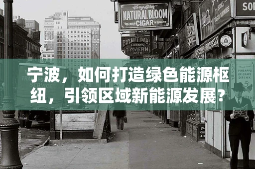 宁波，如何打造绿色能源枢纽，引领区域新能源发展？