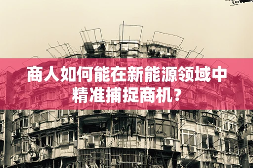 商人如何能在新能源领域中精准捕捉商机？
