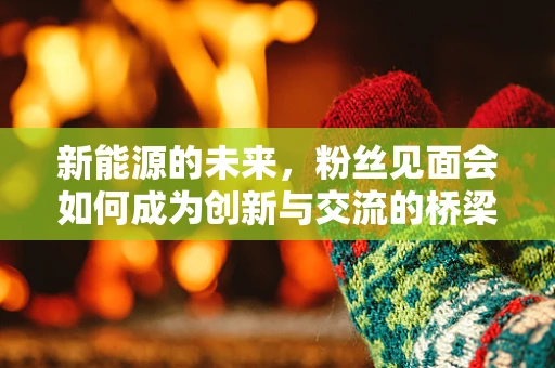 新能源的未来，粉丝见面会如何成为创新与交流的桥梁？