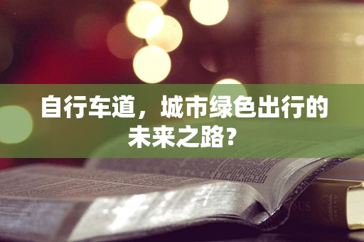 自行车道，城市绿色出行的未来之路？