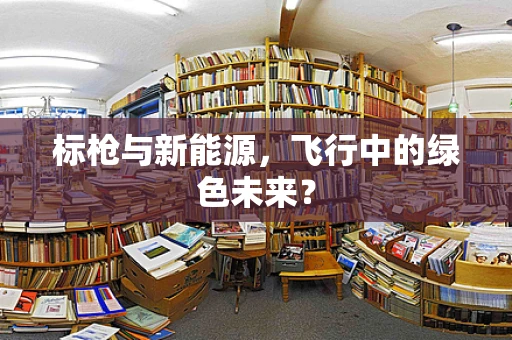 标枪与新能源，飞行中的绿色未来？