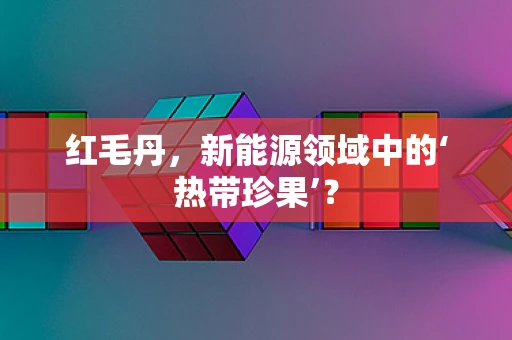红毛丹，新能源领域中的‘热带珍果’？