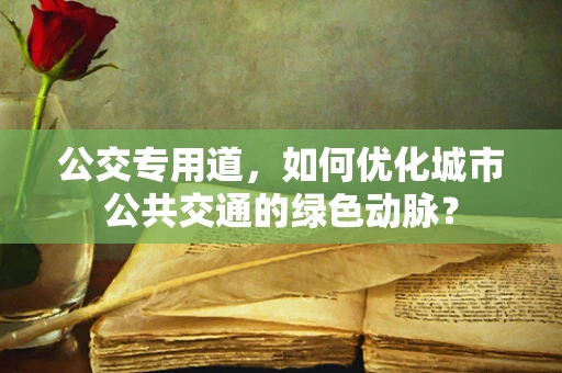 公交专用道，如何优化城市公共交通的绿色动脉？