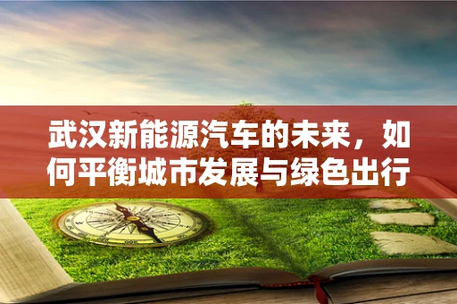 武汉新能源汽车的未来，如何平衡城市发展与绿色出行？