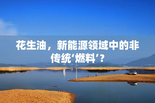 花生油，新能源领域中的非传统‘燃料’？