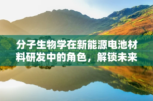 分子生物学在新能源电池材料研发中的角色，解锁未来绿色能源的钥匙？