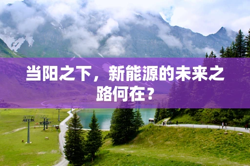 当阳之下，新能源的未来之路何在？