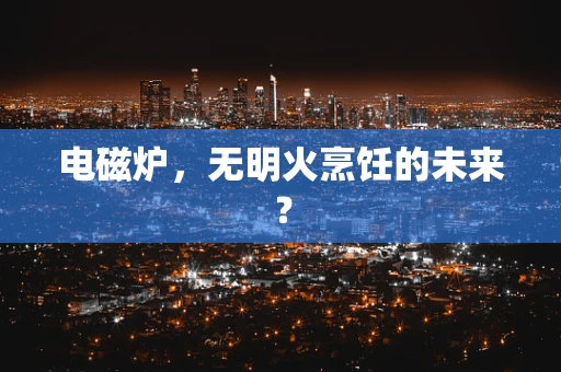 电磁炉，无明火烹饪的未来？
