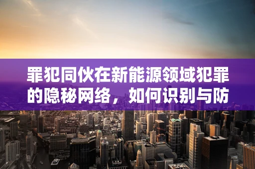 罪犯同伙在新能源领域犯罪的隐秘网络，如何识别与防范？