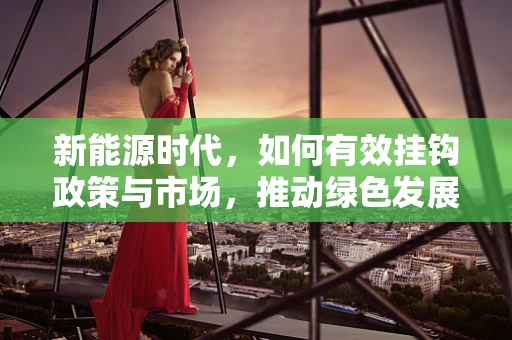 新能源时代，如何有效挂钩政策与市场，推动绿色发展？
