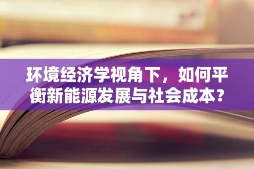 环境经济学视角下，如何平衡新能源发展与社会成本？