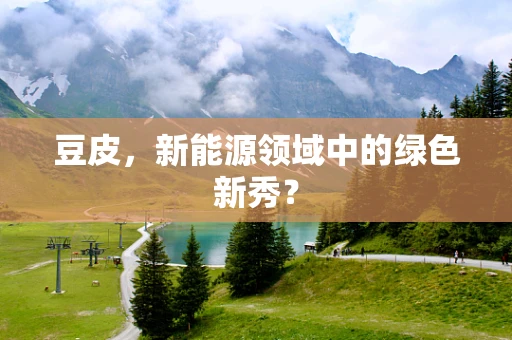 豆皮，新能源领域中的绿色新秀？