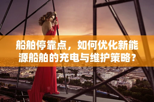 船舶停靠点，如何优化新能源船舶的充电与维护策略？