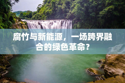 腐竹与新能源，一场跨界融合的绿色革命？