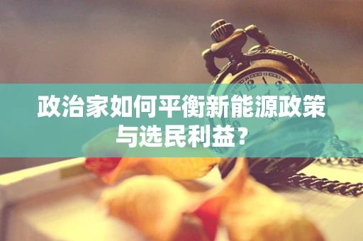 政治家如何平衡新能源政策与选民利益？