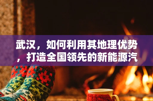 武汉，如何利用其地理优势，打造全国领先的新能源汽车充电网络？