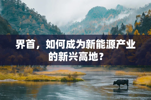 界首，如何成为新能源产业的新兴高地？