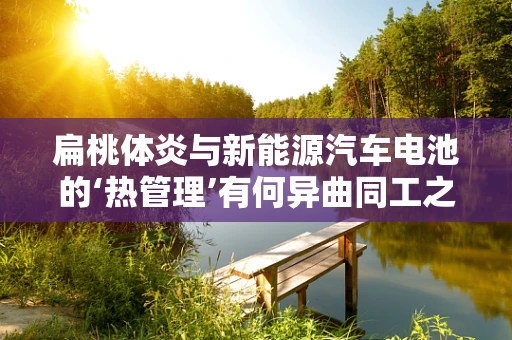 扁桃体炎与新能源汽车电池的‘热管理’有何异曲同工之处？