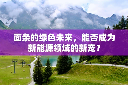 面条的绿色未来，能否成为新能源领域的新宠？