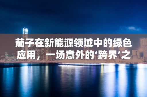 茄子在新能源领域中的绿色应用，一场意外的‘跨界’之旅？