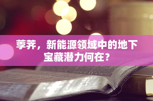 荸荠，新能源领域中的地下宝藏潜力何在？