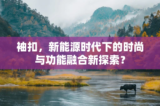 袖扣，新能源时代下的时尚与功能融合新探索？