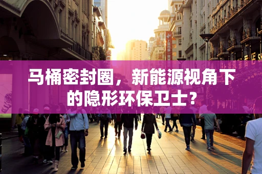 马桶密封圈，新能源视角下的隐形环保卫士？