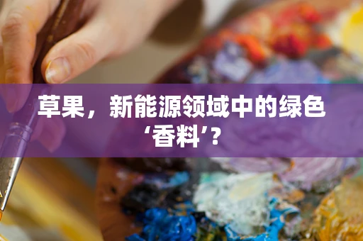草果，新能源领域中的绿色‘香料’？