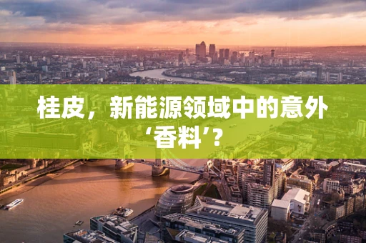 桂皮，新能源领域中的意外‘香料’？