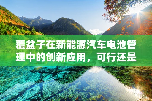 覆盆子在新能源汽车电池管理中的创新应用，可行还是幻想？