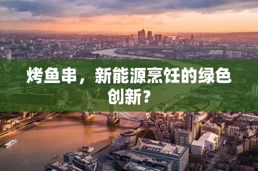 烤鱼串，新能源烹饪的绿色创新？