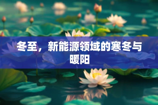 冬至，新能源领域的寒冬与暖阳