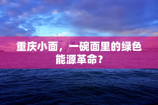 重庆小面，一碗面里的绿色能源革命？