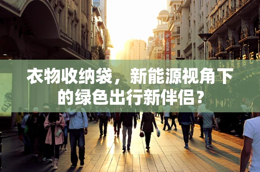 衣物收纳袋，新能源视角下的绿色出行新伴侣？