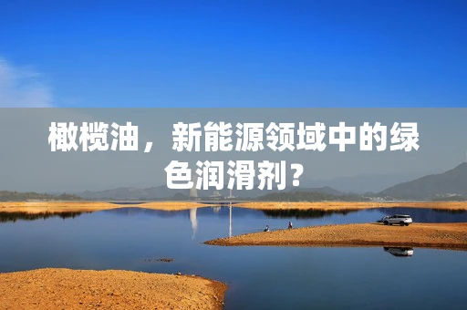 橄榄油，新能源领域中的绿色润滑剂？