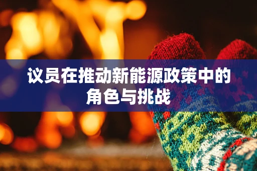 议员在推动新能源政策中的角色与挑战