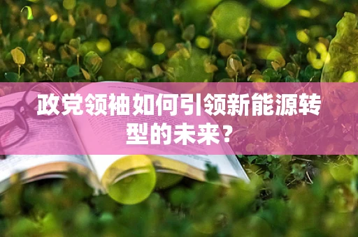 政党领袖如何引领新能源转型的未来？