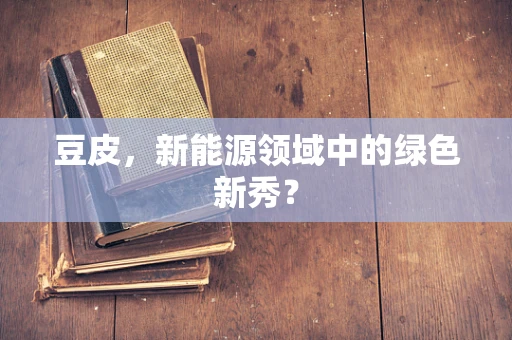豆皮，新能源领域中的绿色新秀？