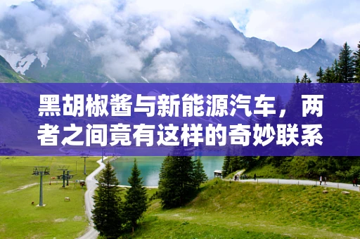黑胡椒酱与新能源汽车，两者之间竟有这样的奇妙联系？