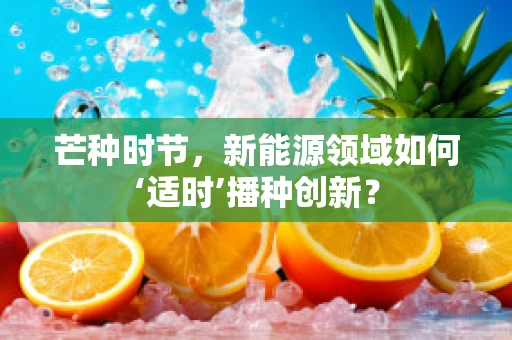 芒种时节，新能源领域如何‘适时’播种创新？