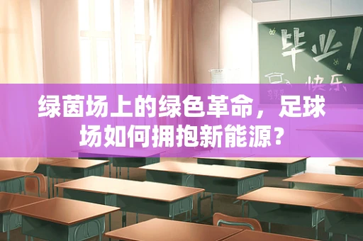 绿茵场上的绿色革命，足球场如何拥抱新能源？