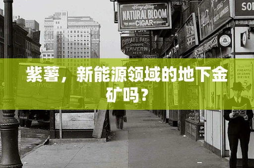 紫薯，新能源领域的地下金矿吗？