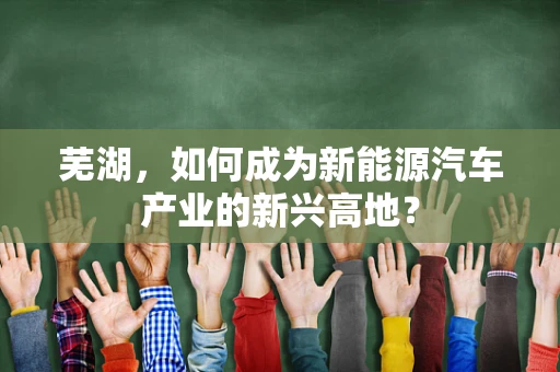 芜湖，如何成为新能源汽车产业的新兴高地？