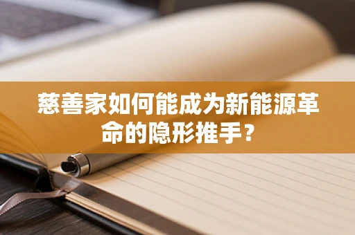 慈善家如何能成为新能源革命的隐形推手？