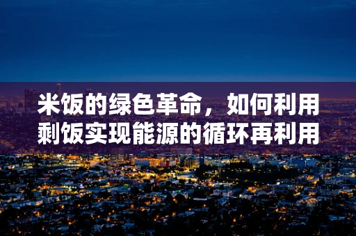 米饭的绿色革命，如何利用剩饭实现能源的循环再利用？